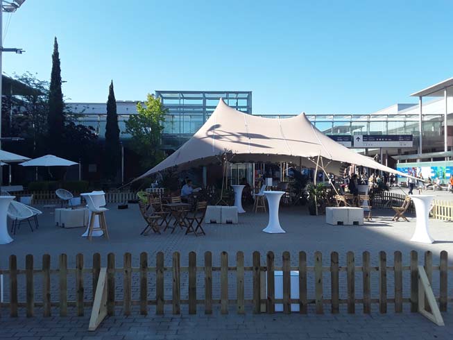 management EULAR 2019